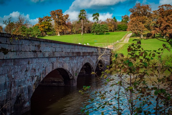 Image of Shobroke Park